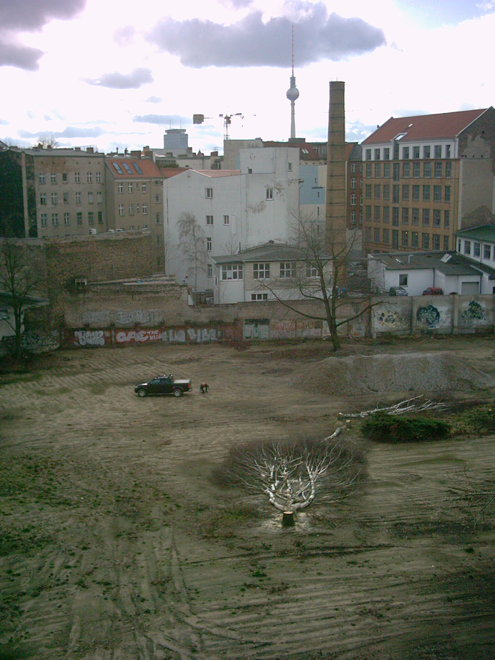 Baummassaker 26. Februar 2008